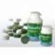 Chlorella Japan + kolagen tbl.750