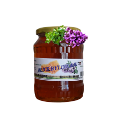 Med s bylinkami - lesní s květem mateřídoušky 500g ZV